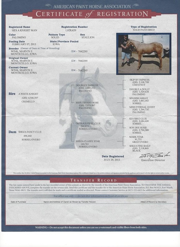 Registration Papers - Nolan Horses